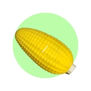 فیجت ذرت