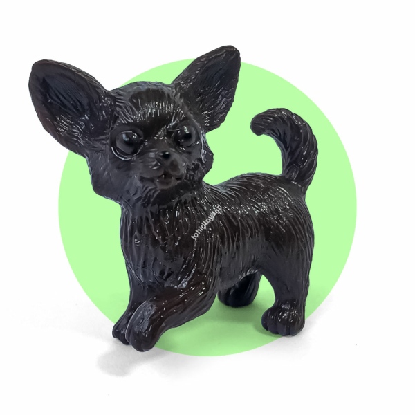 حیوانات پاپی فارم