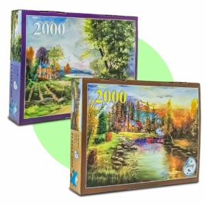 پازل 2000