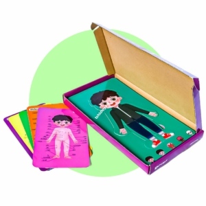 پازل پنج لایه اعضای بدن