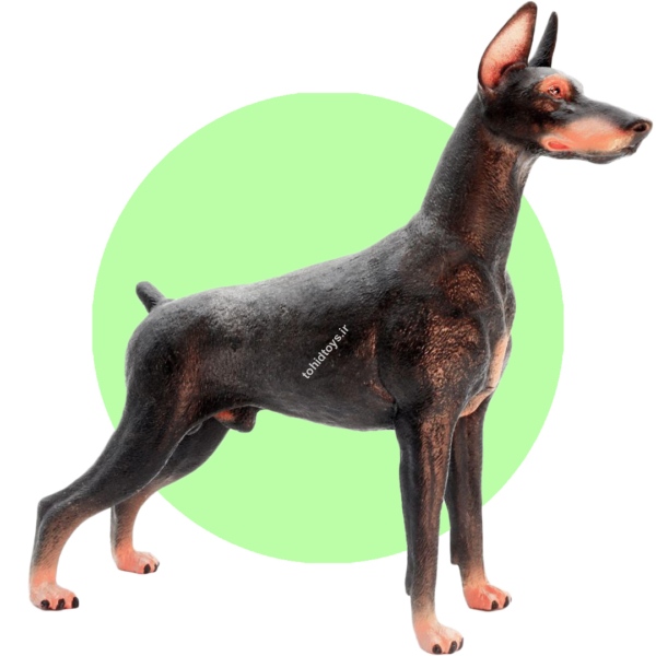 حیوانات مک تویز