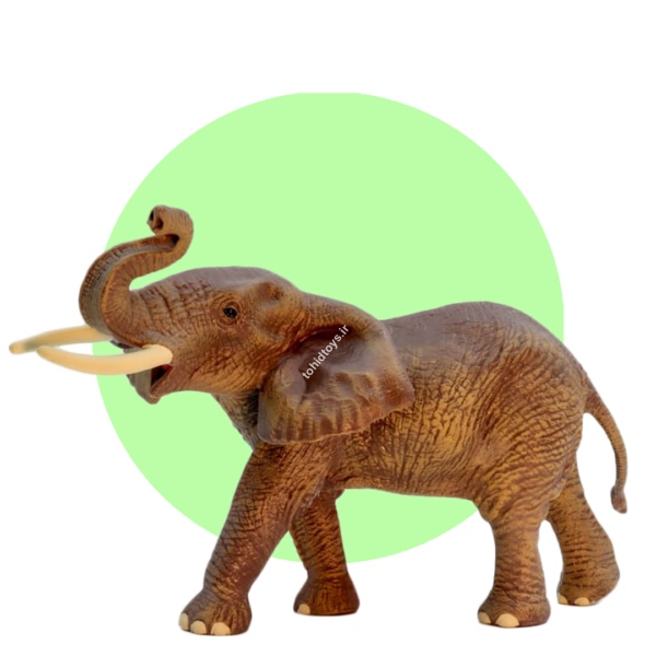 حیوانات مک تویز